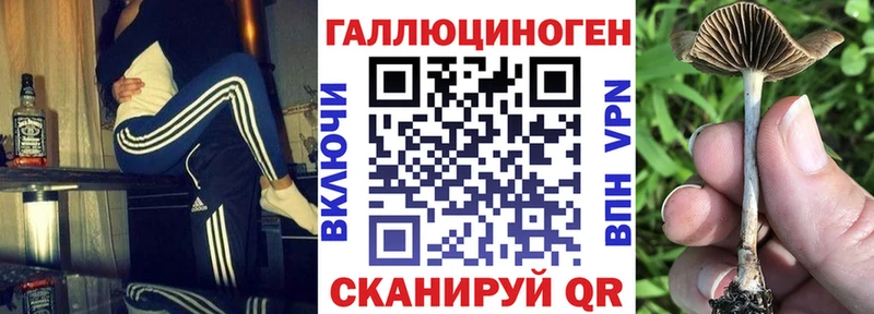Псилоцибиновые грибы мицелий  купить   Западная Двина 